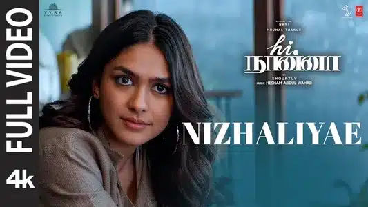 Nizhaliyae Lyrics English Translation — Hi Nanna | Anurag Kulkarni | Chinmayi