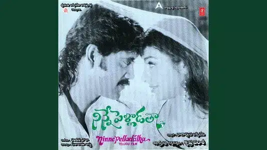 Nuv Nato Ra Lyrics Meaning: Ninne Pelladatha | Sanjeev | Sujatha