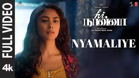 Nyamaliye Lyrics English Meaning — Hi Nanna | Anurag Kulkarni | Chinmayi
