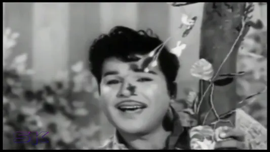 Oorukkellam Poochootum Lyrics Translation | Raja Veettu Pillai | P. Susheela | T. M. Soundarajan