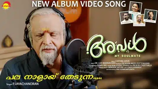 Pala Naalaay Lyrics Translation - Aval My Soulmate | P Jayachandran