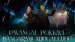 Pavangal Pokave Lyrics English (with Translation) | Steven Samuel Devassy