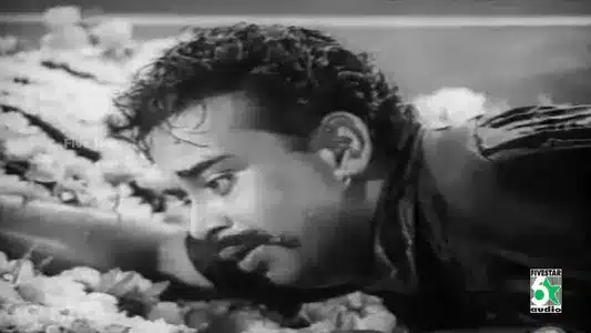 Pazhagum Vagaiyil Lyrics English Translation: Deiva Cheyal | T. M. Soundarajan