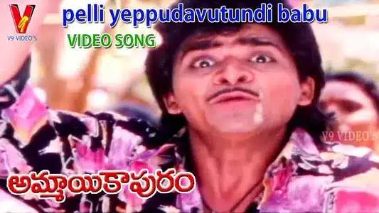 Pelleppudavuthundi Lyrics Meaning — Ammai Kapuram | Priya Mali | S.P.Balasubramanyam