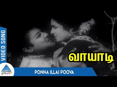 Ponna Illai Poova Lyrics Meaning - Vaayadi | T. M. Soundararajan