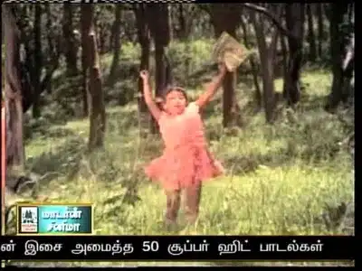 Poopoovaa Paranthu Lyrics English Translation — Thikku Theriyatha Kaattil | M. S. Rajeswari