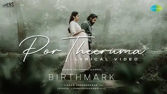 Por Theeruma Lyrics English Meaning – Birthmark | Navin B | Shibi Srinivasan