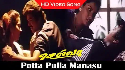Potta Pulla Manasu Lyrics Meaning - Selva | Sirpy | Vaali