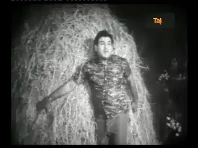 Punnagaiyil Oru Lyrics English Translation: Bhavani | T. M. Soundarajan