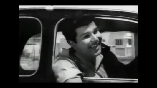 Raja Veettu Penn Lyrics Translation — Raja Veettu Pillai | L. R. Eswari | T. M. Soundarajan