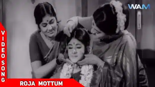Roja Mottu Lyrics English Translation: Vazhaiyadi Vazhai | L. R. Eswari