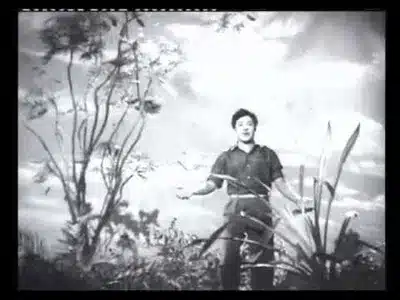 Santhana Poigaiyil Lyrics Meaning - Thangarathinam | C. S. Jayaraman