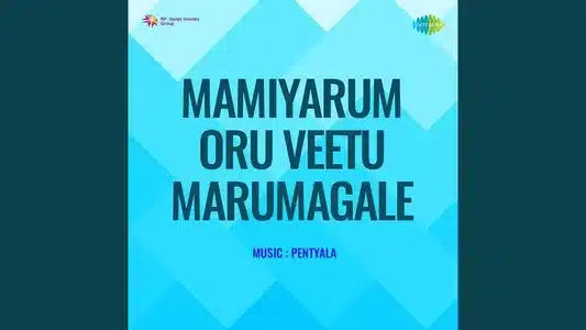 Selvamellam Kodukkum Lyrics Meaning: Mamiyarum Oru Veettu Marumagale | C. S. Jayaraman