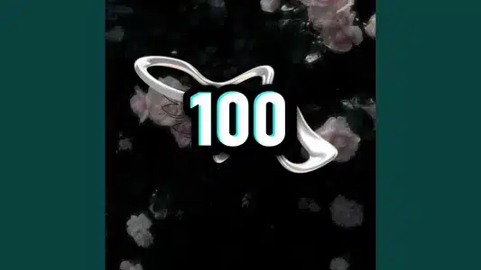 100 Lyrics [English Meaning]: Travis Chobit