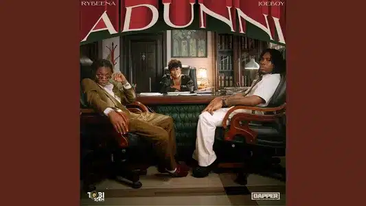 Adunni Lyrics Meaning – Mr Bee | Joeboy | Rybeena