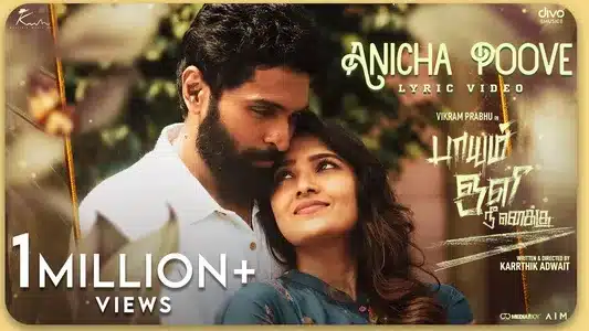 Anicha Poove Lyrics Translation | Paayum Oli Nee Yenakku | Karthik Netha | Sagar