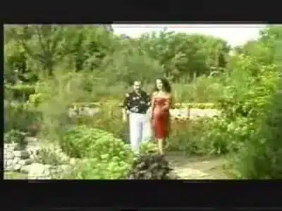 Bəyaz Gecələr Lyrics English (Translation) - Səyyad Əlizadə