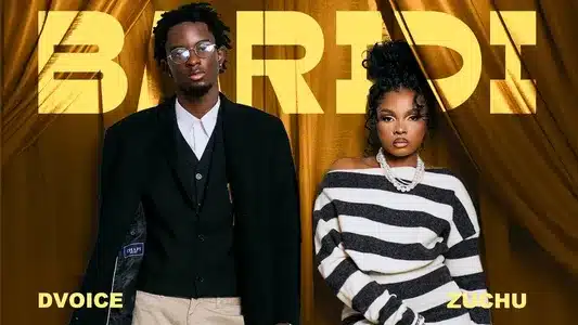 Baridi Lyrics {English Meaning} – D Voice | Zuchu