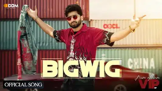 Bigwig Lyrics English Meaning | Vip | Shivjot