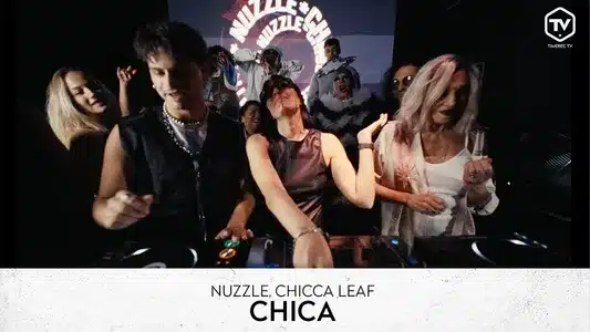 Chica Lyrics Translation (in English): Chicca Leaf | Nuzzle