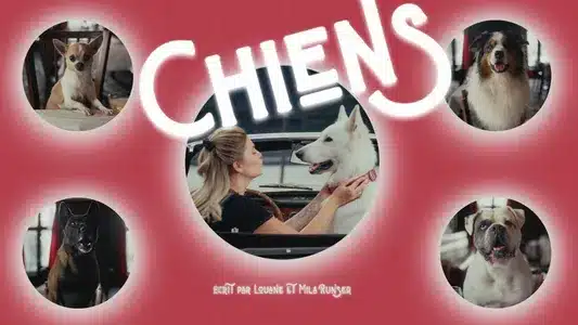 Chiens Lyrics {English Meaning}: Louane