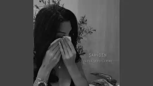 Deniz Lyrics {English Translation} — Şahiden