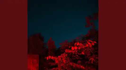 Ge Mig Allt Du Har Lyrics Translation — Om Du Behöver Mig | Nektar