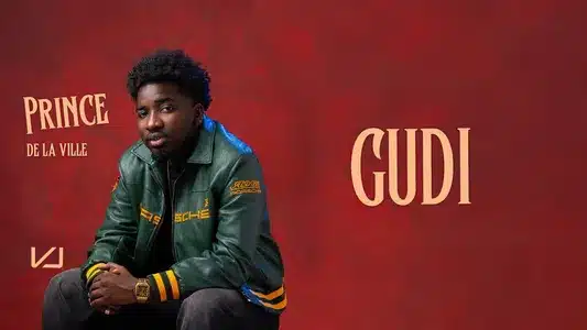 Gudi Lyrics Translation – Prince De La Ville | Vj