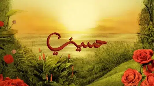 Heseeny Lyrics English Meaning | Narein | Tul8Te