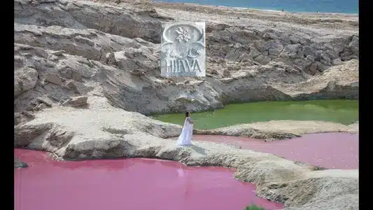 Hilwa Lyrics Meaning - Awda | Zeyne