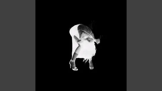 Io Non Sento Niente Lyrics {English Translation} | Chandie