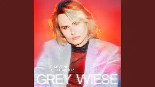 Je Reviens Te Chercher Lyrics With English Meaning – Grey Wiese