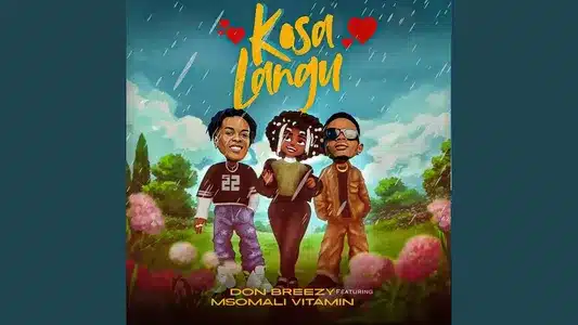 Kosa Langu (Feat. Msomali Vitamin) Lyrics {English Translation}: Don Breezy