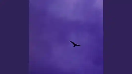 Kotozute Lyrics {English Meaning} – Bialystocks