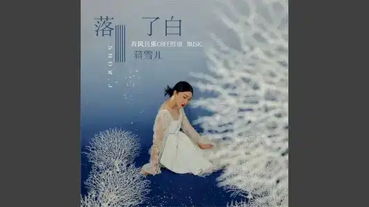 落了白 (Dj小金版) Lyrics Translation (in English) - 蒋雪儿snow.J
