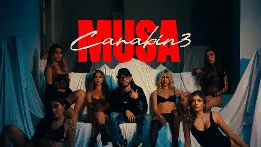 Musa Lyrics (English Meaning) — Carabin3 | Svnti