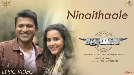 Ninaithaale Lyrics English Meaning: James | Charanraj Mr | Vaish