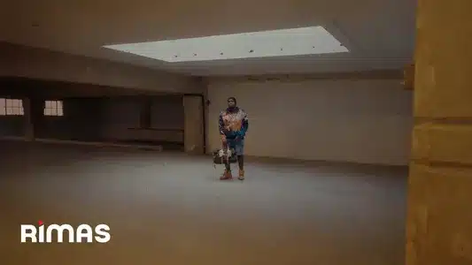 Novio No Lyrics Meaning (in English) | Sech