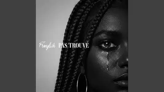 Pas Trouvé Lyrics Translated to English: Franglish