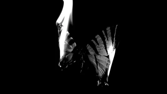 Perdutamente Lyrics Translation | Comuni Mortali | Achille Lauro