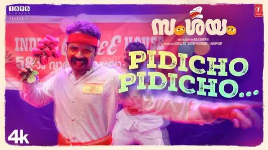 Pidicho Pidicho Lyrics English Meaning | Samshayam | Vinay Forrt