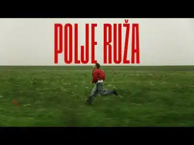 Polje Ruža Lyrics {English Meaning} — Jakov Jozinović