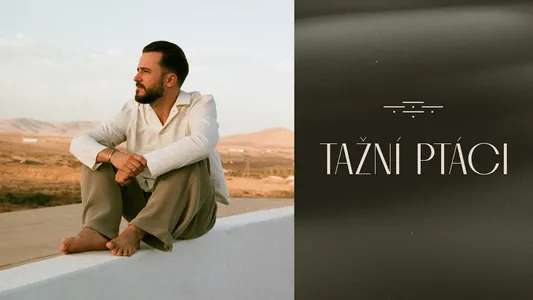 Sáro Lyrics English Meaning — Tažní Ptáci | Kuba Ryba | Lipo