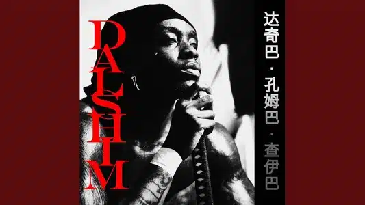 Sécurité (Feat. Aya Nakamura) Lyrics Meaning: Dachiba Koumgba Tchaiba : Dalshim | Himra