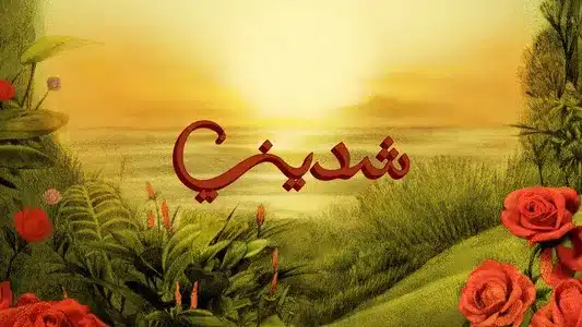 Shedeeny Lyrics English Translation - Narein | Tul8Te