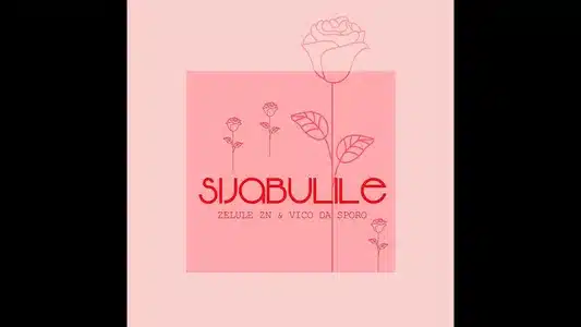 Sijabulile Lyrics {English Translation} – Vico Da Sporo | Zelule Zn