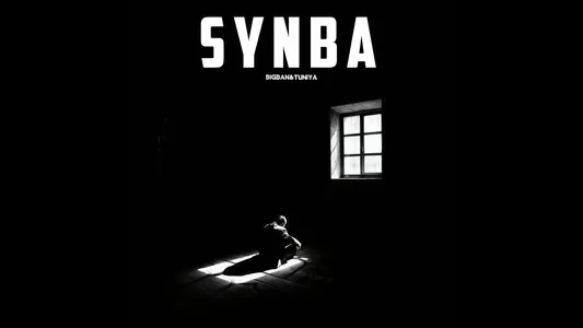 Synba Lyrics Meaning (in English) – Bigban | Tuniya
