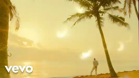 Tamu Chungu (Feat. Alikiba) Lyrics English (Translation) – Vanillah