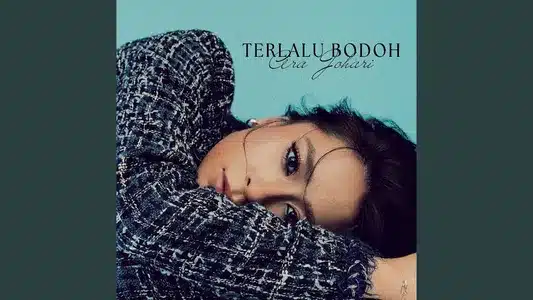 Terlalu Bodoh Lyrics English (Translation) — Ara Johari