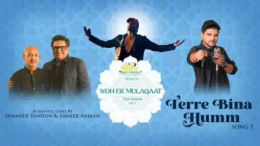 Terre Bina Humm Lyrics Translation - Woh Ek Mulaqaat | Salman Ali